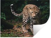 Muurstickers - Sticker Folie - Wilde dieren - Luipaard - Jungle - Natuur - 160x120 cm - Plakfolie - Muurstickers Kinderkamer - Zelfklevend Behang XXL - Zelfklevend behangpapier - Stickerfolie