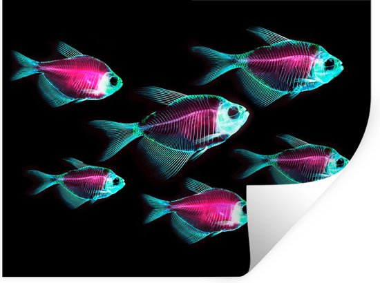 Stickers muraux - Film autocollant - Poisson - Violet - Blauw - 80x60 cm - Film adhésif - Stickers muraux chambre enfant - Papier peint autocollant - Papier peint autocollant - Film autocollant
