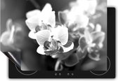 Chefcare Inductie Beschermer Paarse Orchidee Bloemen - Zwart Wit - 90x50 cm - Afdekplaat Inductie - Kookplaat Beschermer - Inductie Mat