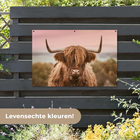Affiche de jardin Vache - Highlander écossais - Animal - 120x80 cm - Jardin