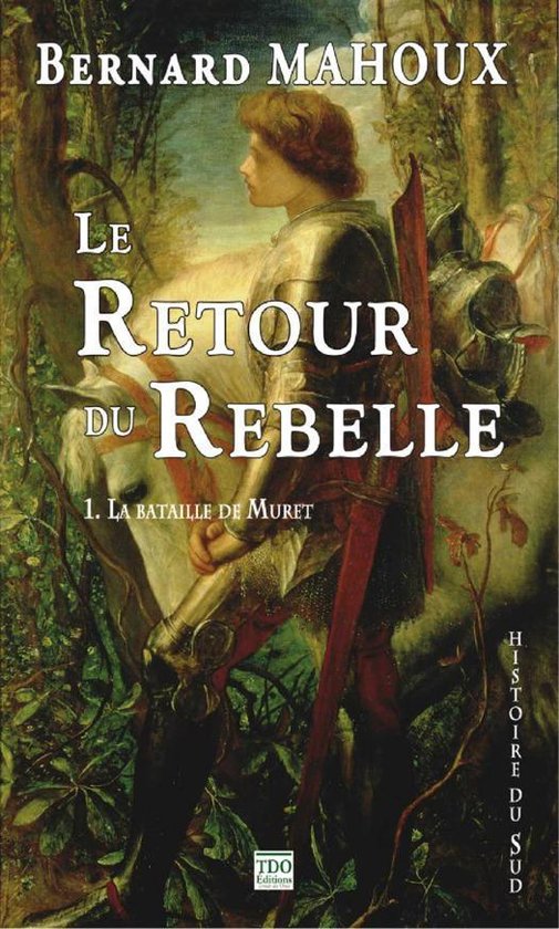 Histoire du Sud 1 - Le Retour du Rebelle. Tome 1