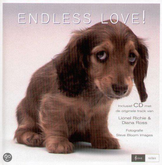 9789058971692 - Endless Love