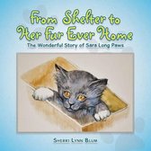 From Shelter to Her Fur Ever Home