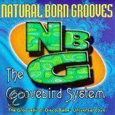 Groovebird System