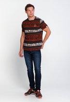 J&JOY - T-shirt Mannen Ontario Forest Stripes Ferns