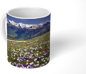 Mok - Crocus weide boven de Bernese Alpen in Zwitserland - 350 ML - Beker