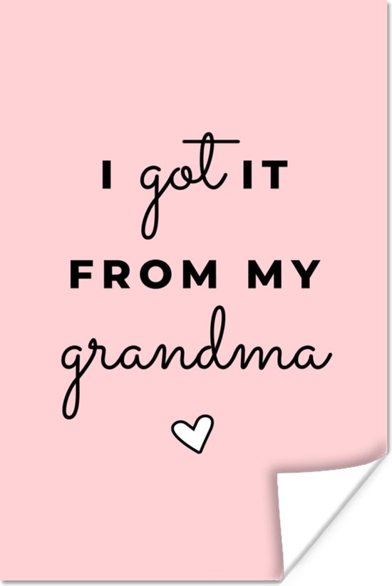 Cadeau oma voor Moederdag met quote I got it from my grandma – roze poster poster 60x90 cm