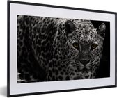 Fotolijst incl. Poster - Zwart-wit foto van een gekleurde luipaard - 60x40 cm - Posterlijst