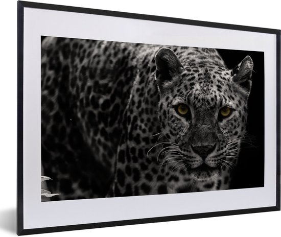 Fotolijst incl. Poster - Zwart-wit foto van een gekleurde luipaard - 60x40 cm - Posterlijst