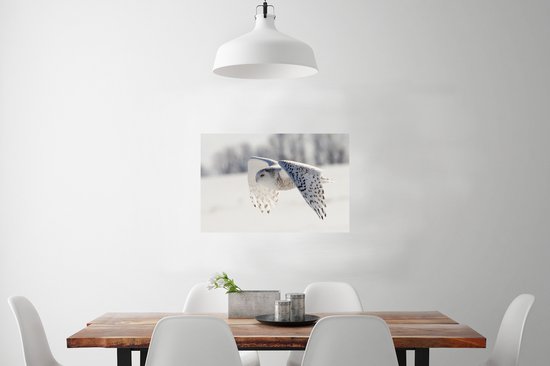 Snowy Owl survole un paysage d'hiver Poster 60x40 cm - Tirage photo sur Poster (décoration murale salon / chambre)