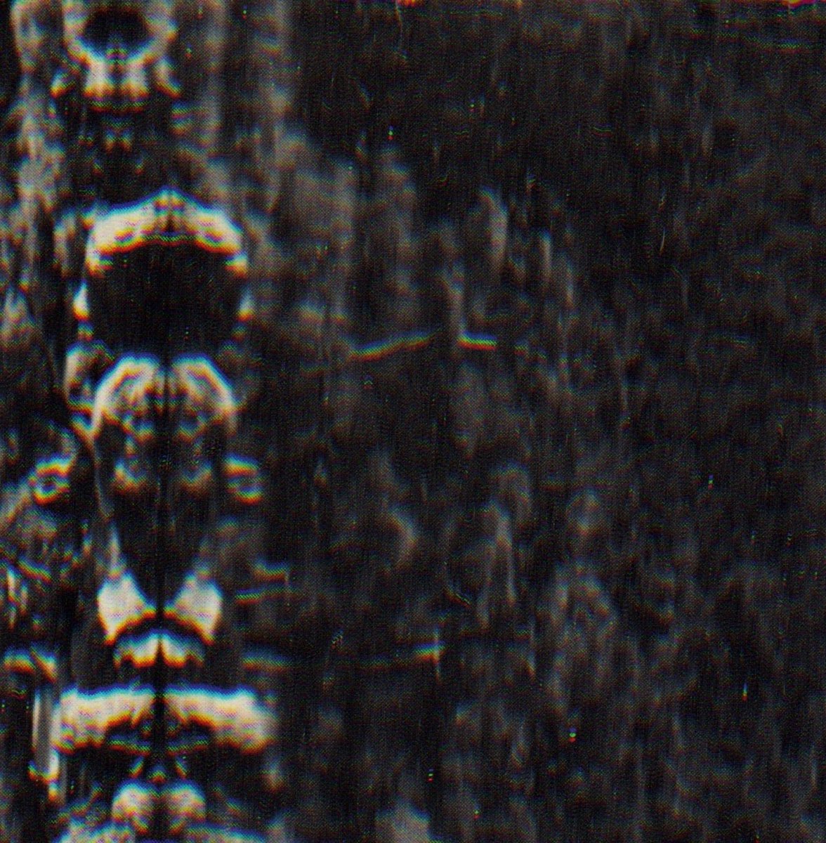O Morto - The Forest, The People And The Spirits (LP)