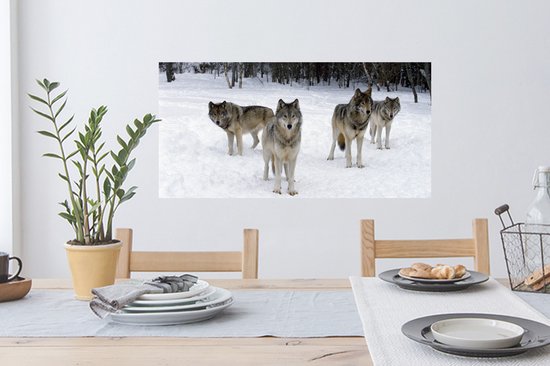 Stickers Stickers muraux - Loup - Neige - Canada - 80x40 cm - Feuille adhésive