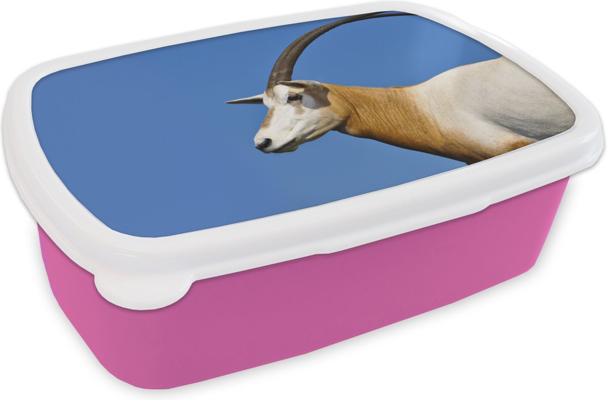 Broodtrommel Roze - Lunchbox - Brooddoos - Dier - Hoorn - Geit - 18x12x6 cm - Kinderen - Meisje