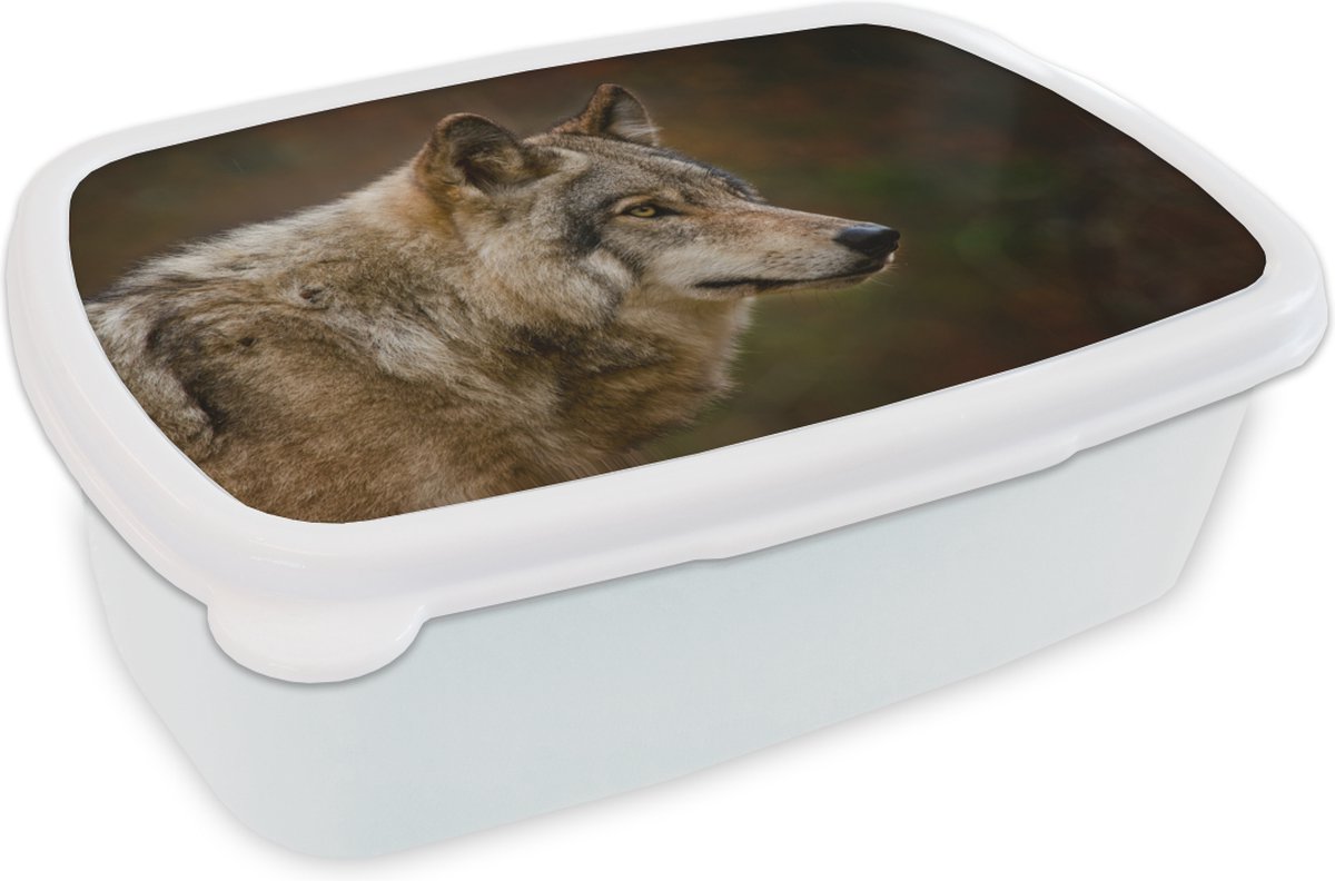 Broodtrommel Wit - Lunchbox - Brooddoos - Dieren - Wolf - Roofdieren - 18x12x6 cm - Volwassenen
