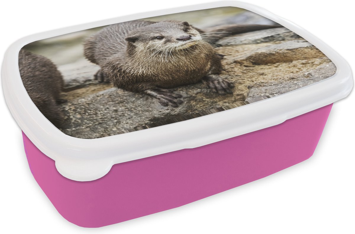 Broodtrommel Roze - Lunchbox - Brooddoos - Otter - Steen - Water - 18x12x6 cm - Kinderen - Meisje