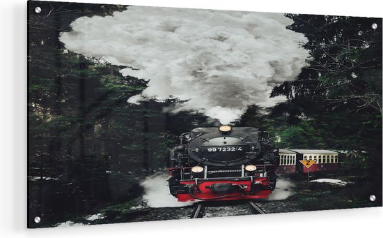 Artaza Glasschilderij - Locomotief in de Bossen met Stoom Wolken  - 60x30 - Klein - Plexiglas Schilderij - Foto op Glas