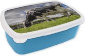Broodtrommel Blauw - Lunchbox - Brooddoos - Koe - Gras - Staart - Dieren - 18x12x6 cm - Kinderen - Jongen