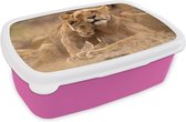 Broodtrommel Roze - Lunchbox - Brooddoos - Leeuw - Wilde dieren - Welp - 18x12x6 cm - Kinderen - Meisje
