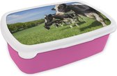 Broodtrommel Roze - Lunchbox - Brooddoos - Koe - Gras - Weiland - 18x12x6 cm - Kinderen - Meisje