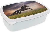 Broodtrommel Wit - Lunchbox Paard - Lucht - Nacht - Gras - Brooddoos 18x12x6 cm - Brood lunch box - Broodtrommels voor kinderen en volwassenen