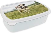 Broodtrommel Wit - Lunchbox - Brooddoos - Koe - Gras - Landschap - 18x12x6 cm - Volwassenen