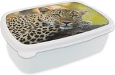 Broodtrommel Wit - Lunchbox - Brooddoos - Luipaard - Natuur - Zonsondergang - 18x12x6 cm - Volwassenen