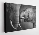 Canvas schilderij - Elephants showing affection (Artistic processing)  -     108082691 - 80*60 Horizontal
