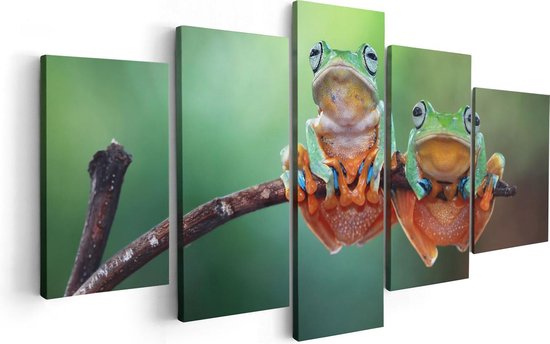 Artaza - Toile Peinture Pentaptyque - Deux Grenouilles sur une Branche - 100x50 - Photo sur Toile - Impression sur Toile