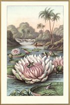 JUNIQE - Poster met kunststof lijst Water Lily -40x60 /Grijs & Groen