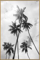 JUNIQE - Poster met kunststof lijst Palme Bounty -40x60 /Grijs & Wit
