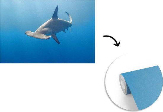 Papier peint - Papier peint photo murale Requin marteau - Largeur 330 cm x hauteur 220 cm