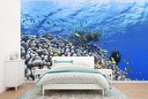 Behang - Fotobehang Onderwater rif met vissen - Breedte 320 cm x hoogte 240 cm
