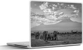Sticker ordinateur portable - 10,1 pouces - Trekking éléphants - noir et blanc
