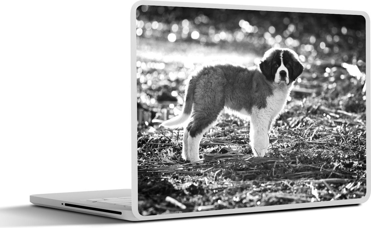 Afbeelding van product SleevesAndCases  Laptop sticker - 15.6 inch - In de camera kijkende Sint Bernard puppie - zwart wit