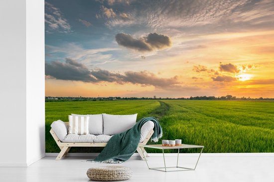 Papier peint Papier peint photo en vinyle - Coucher de soleil sur la campagne largeur 390 cm x hauteur 260 cm - Tirage photo sur papier peint (disponible en 7 tailles)