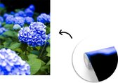 Behang - Fotobehang Close up blauwe hortensia bloemen - Breedte 190 cm x hoogte 280 cm