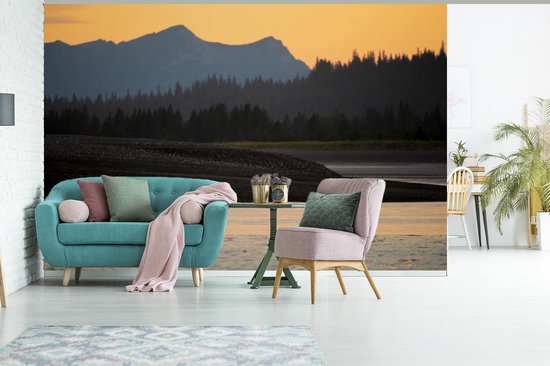 Papier peint Papier peint photo en vinyle - Ours brun largeur 330 cm x hauteur 220 cm - Tirage photo sur papier peint (disponible en 7 tailles)