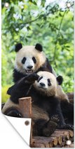 Schuttingposter Panda - Brug - Natuur - 100x200 cm - Tuindoek
