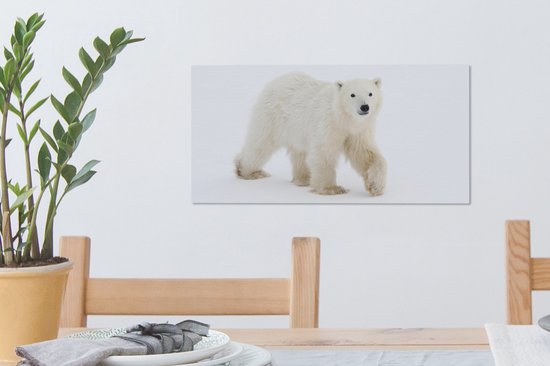 Tableau sur toile Ours Polaire - Neige - Wit - 40x20 cm - Décoration murale