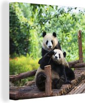 Canvas Schilderij Panda - Brug - Natuur - 90x90 cm - Wanddecoratie