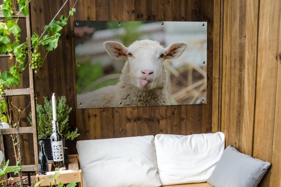 Tuinposter - Tuindoek - Tuinposters buiten - Schaap - Dieren - Wol - 120x80 cm - Tuin
