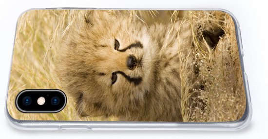 Telefoonhoesje Geschikt voor iPhone X hoesje - Cheeta - Jong - Gras - Siliconen Telefoonhoesje Telefoonhoesje