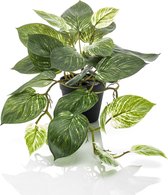 Kunstplant Scindapsus 55 cm in pot groen