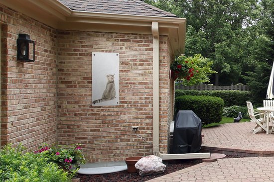 Poster de jardin Chat - Animaux domestiques - Fourrure - 40x80 cm - Décoration murale Extérieur - Poster de jardin - Toile de jardin - Poster de clôture - Tableau de jardin