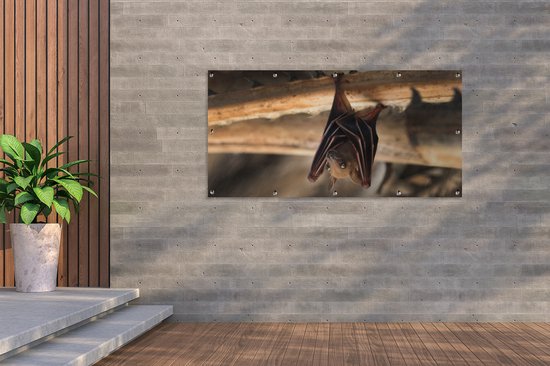 Autocollant Mural - Style5 - Citrouille Et Chauve-souris - Décoration