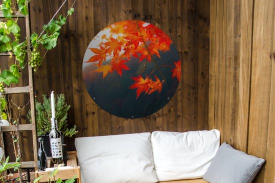 Garden Circle Feuilles d'Automne au Japon - 90x90 cm - Poster de Jardin