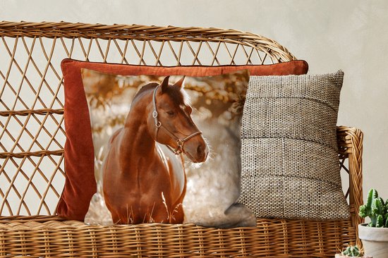 Cheval - Soleil - Portrait