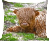Sierkussen - Schotse Hooglander Hooi Gras - Multicolor - 45 Cm X 45 Cm