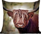 Sierkussens - Kussentjes Woonkamer - 45x45 cm - Schotse hooglander - Licht - Portret - Natuur