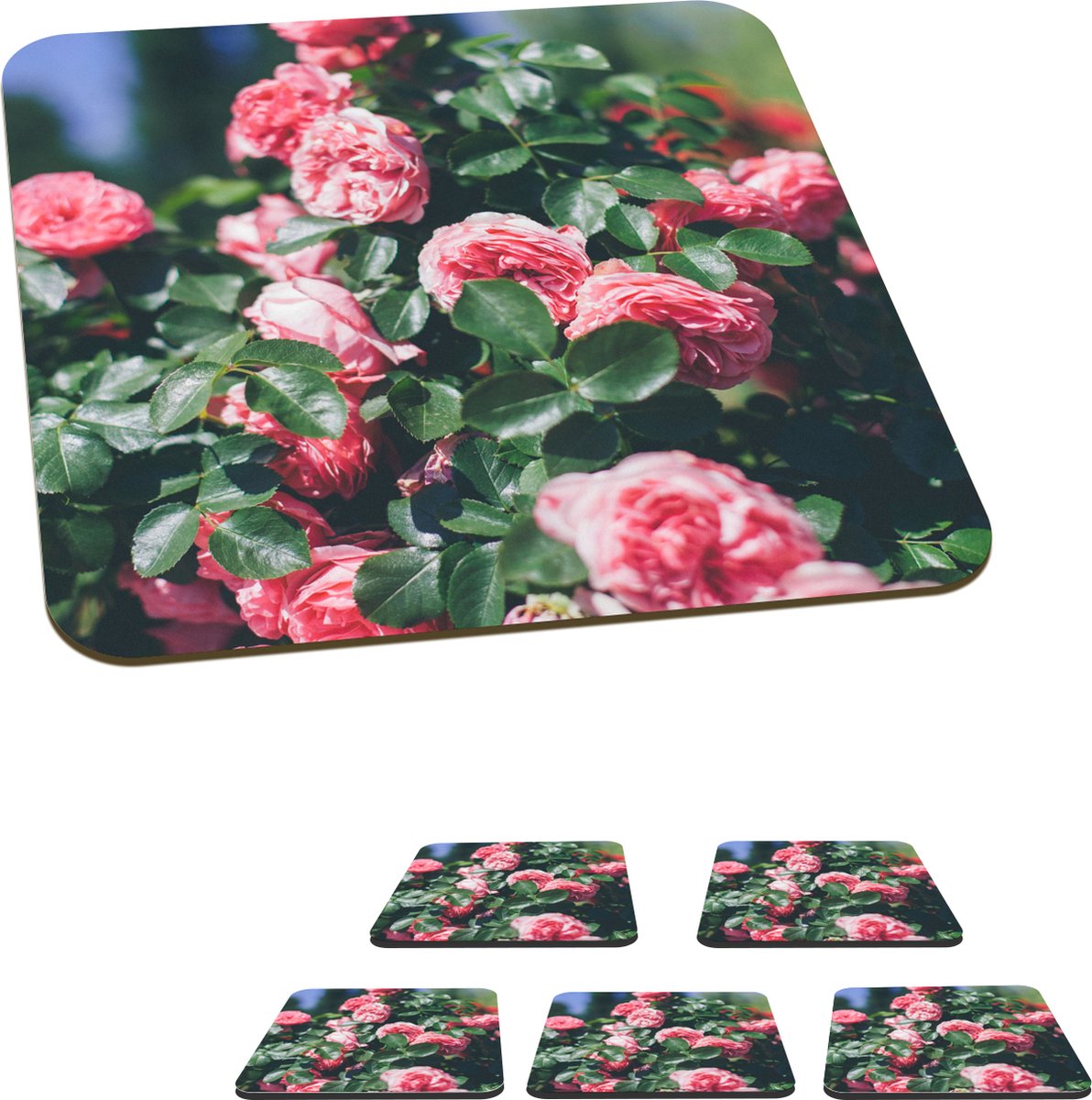 Onderzetters voor glazen - Mooie roze roos in zomertuin - 10x10 cm - Glasonderzetters - 6 stuks